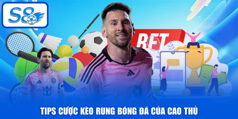 Tips cược kèo rung bóng đá của cao thủ